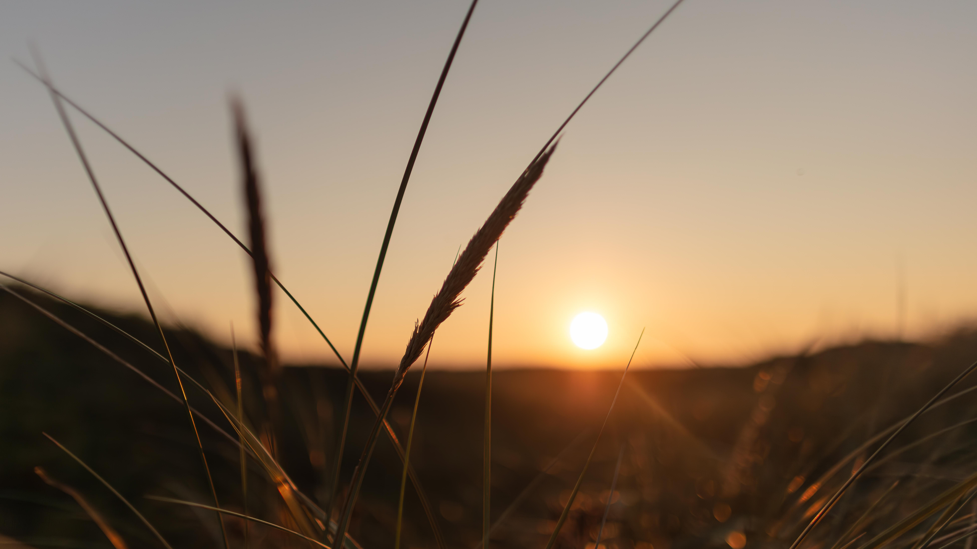  DS 1817 Enhanced NR 2